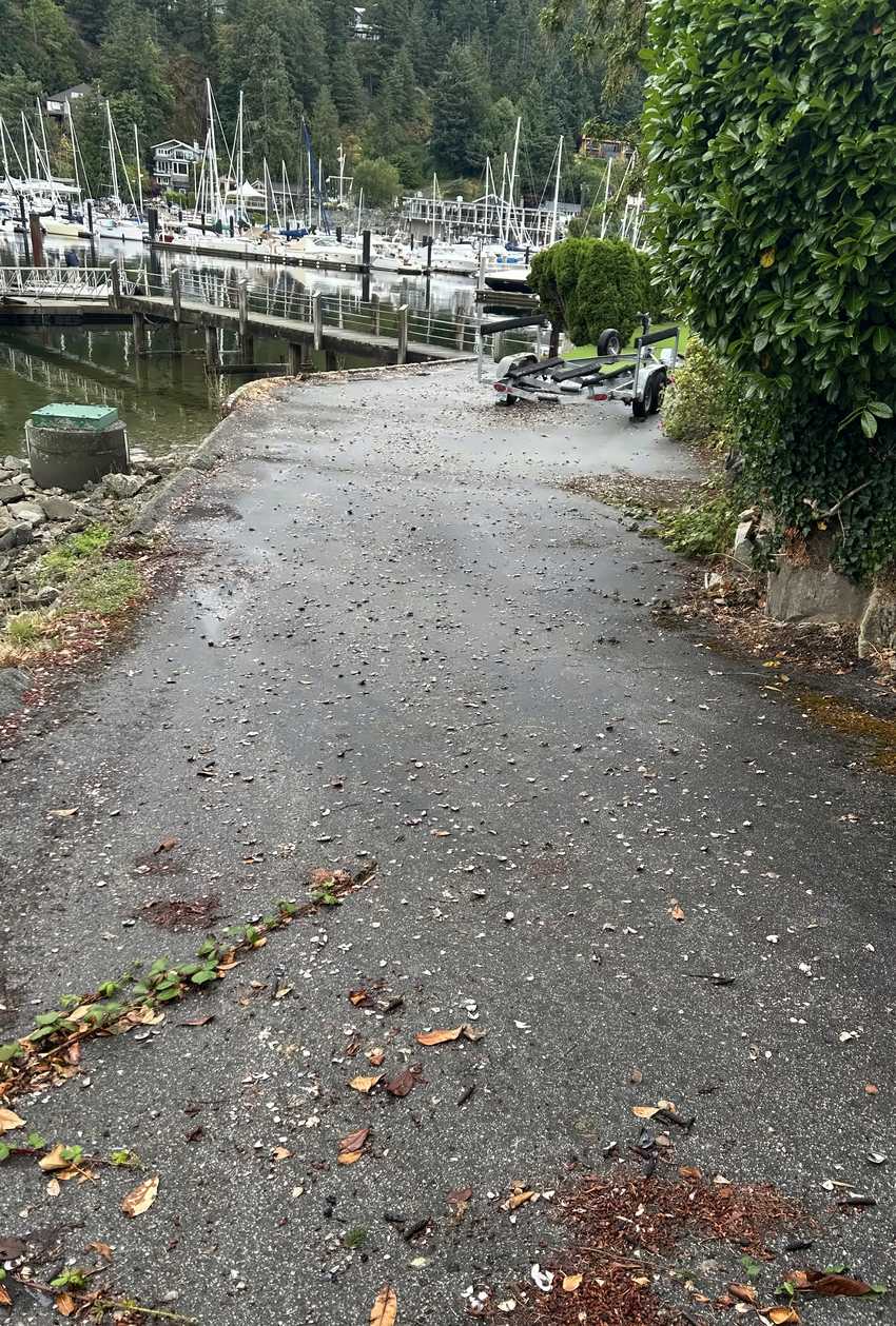 Worn grey pavement along the seawall, debris and moss at the edge